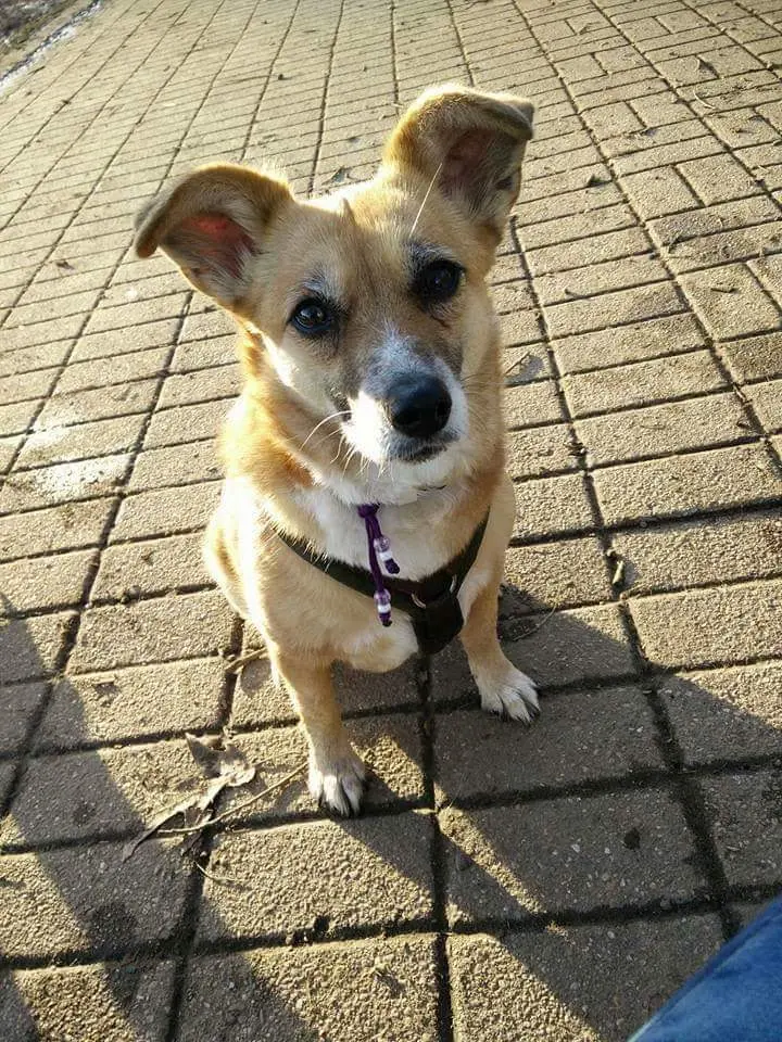 An deinem Lieblingssee