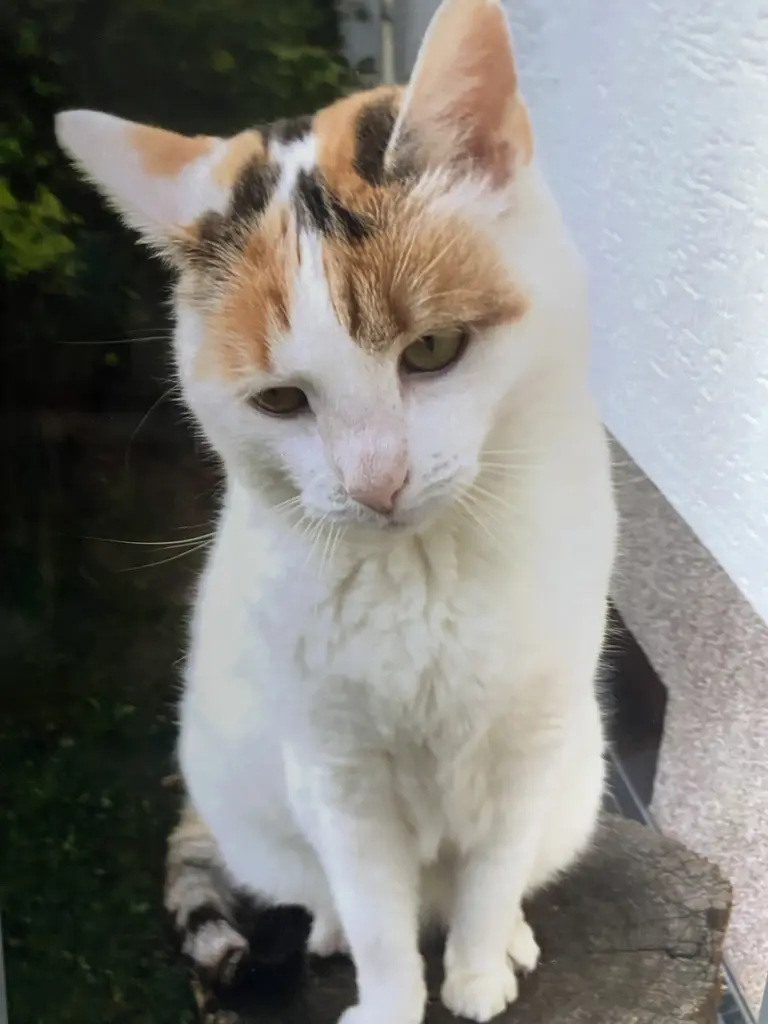 Andachtsbild von Barbara Maurer