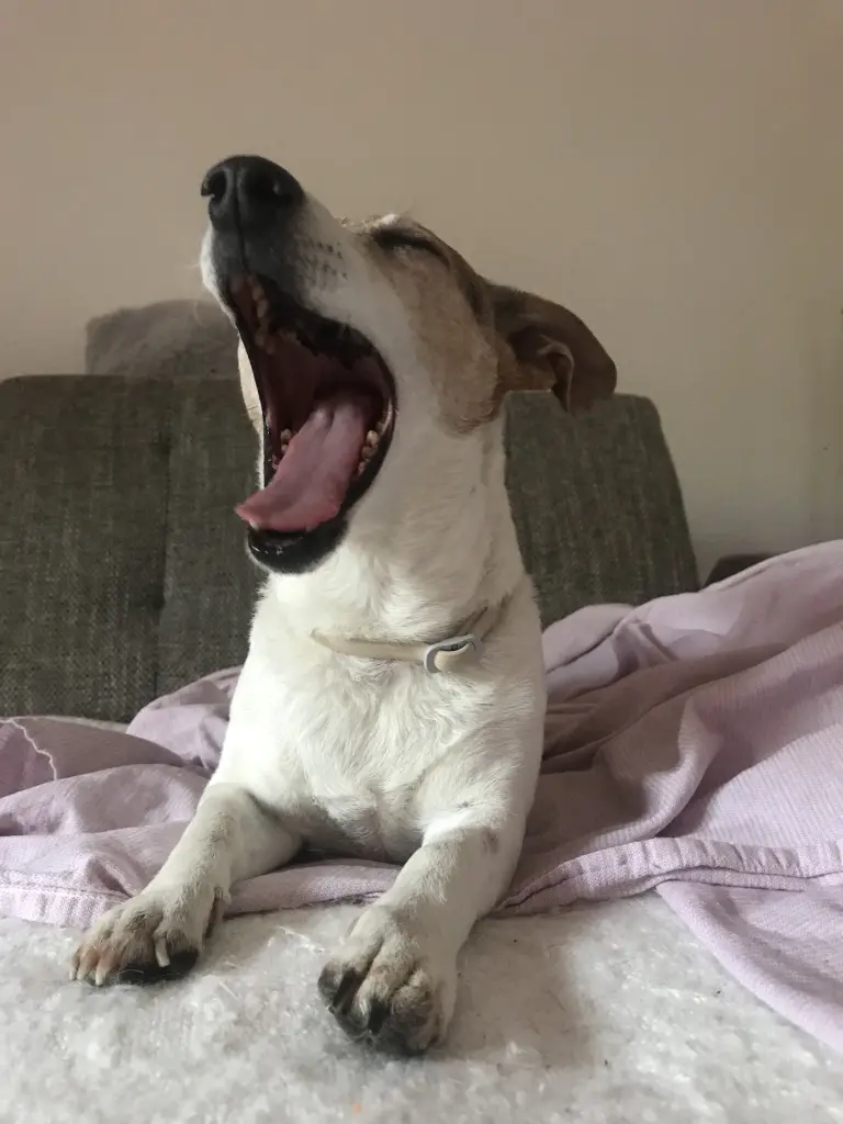 Andachtsbild von Mona mit Lina im ♥️