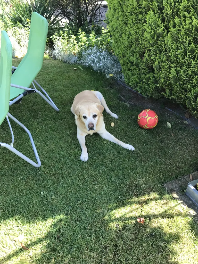 Andachtsbild von Elzbieta mit Max im Herzen