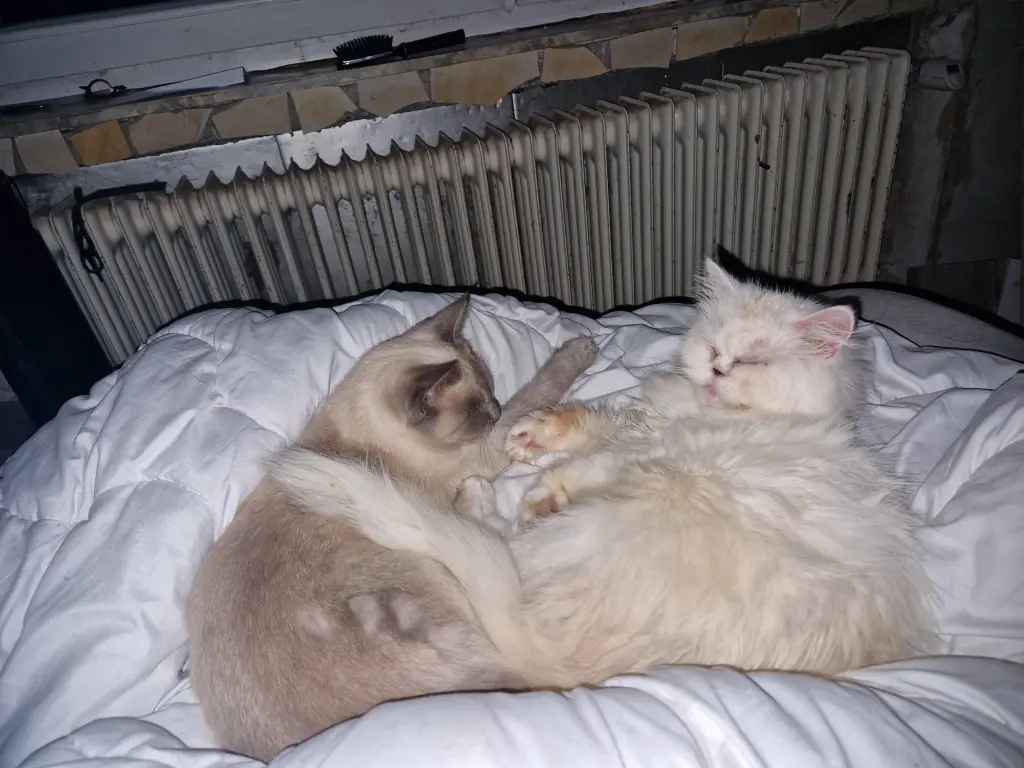 Chillen mit dem Sohn