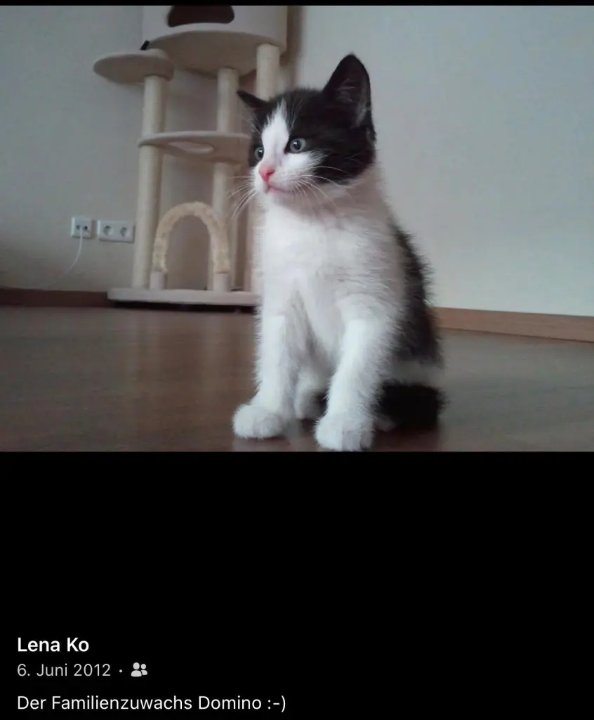 Andachtsbild von Andreas Koch