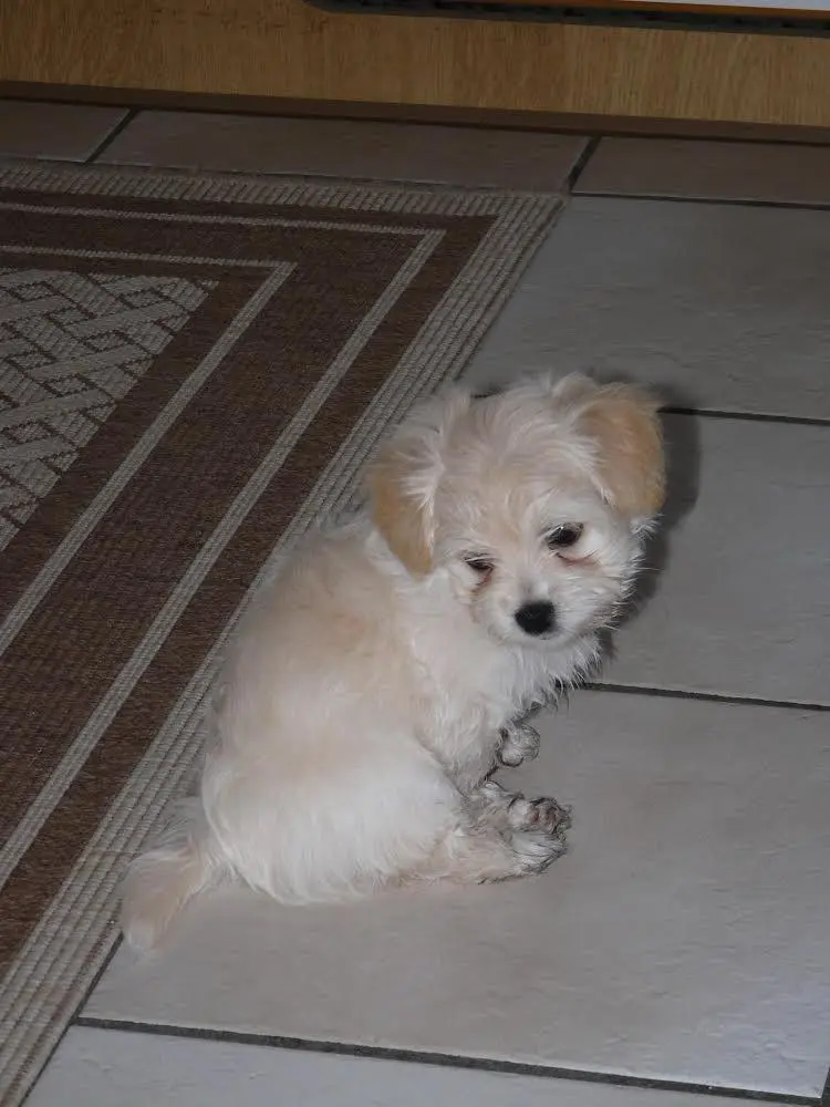 Als wir dich nach Hause gebracht haben ...