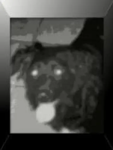 Image from meine süße Mandy