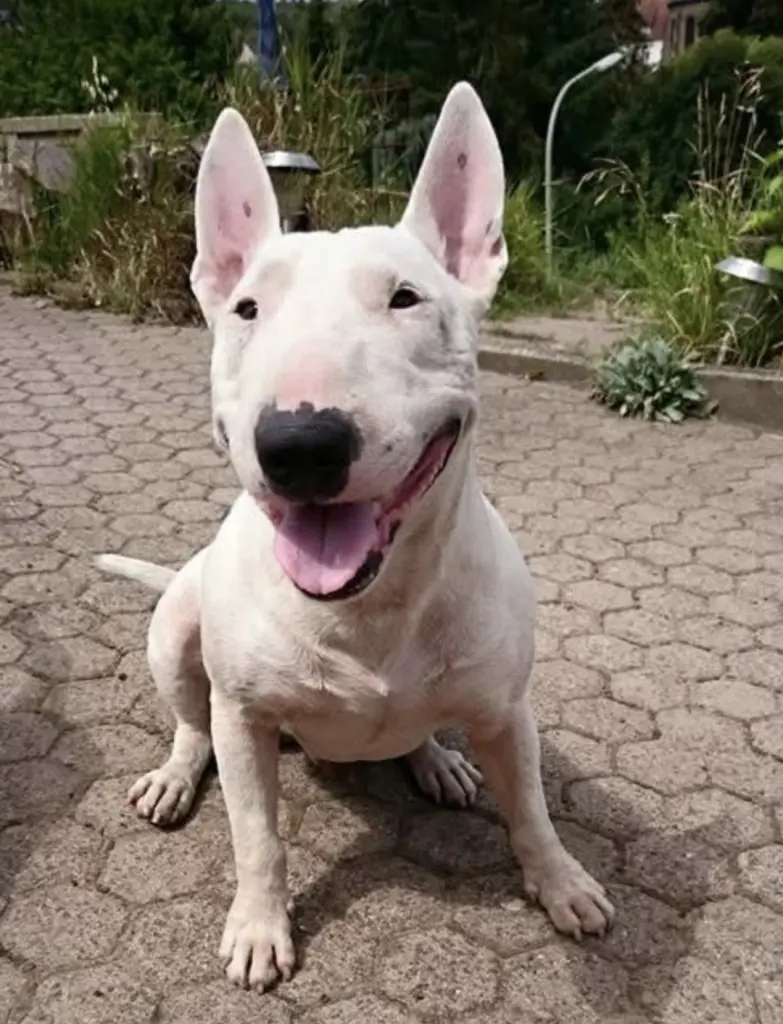 Andachtsbild von Frank Reiser