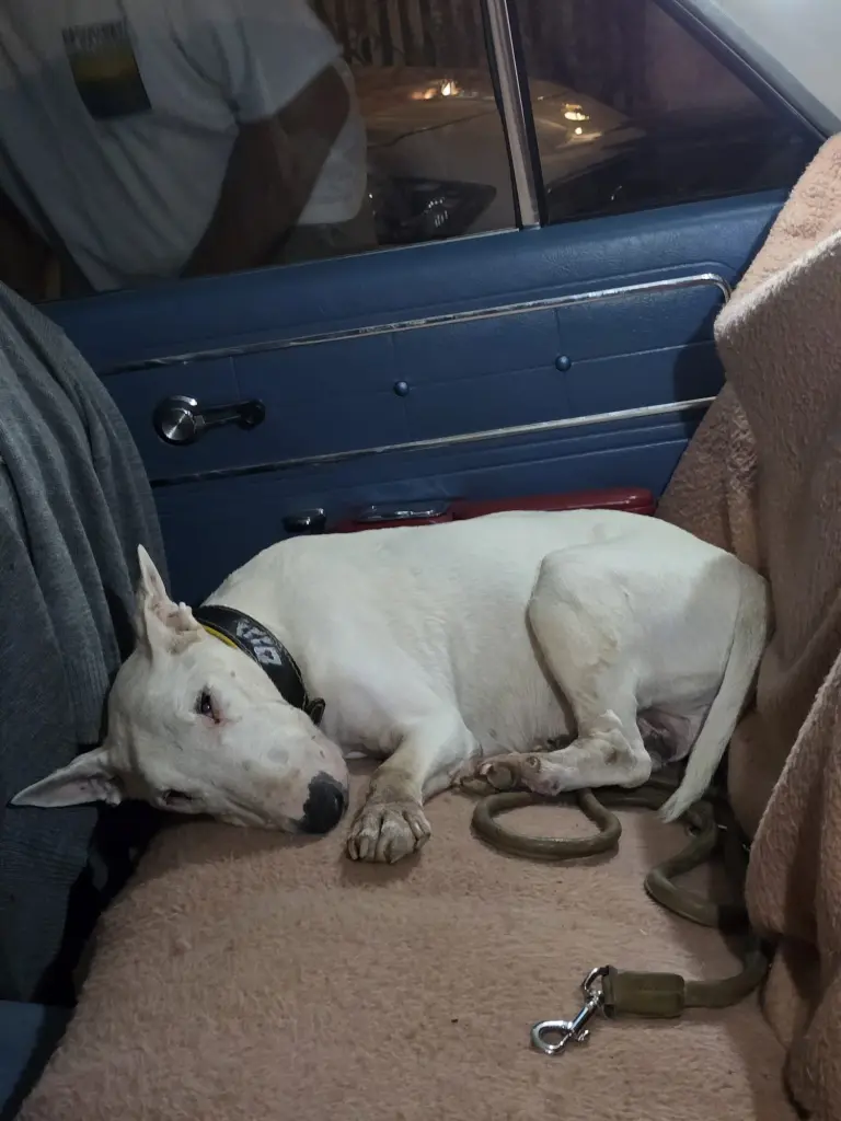 Andachtsbild von Lothar Useldinger