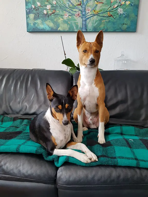 Ayo und seine Schwester Shari