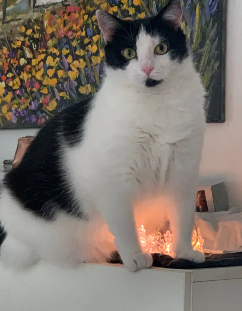 Ich vermisse dich so sehr.