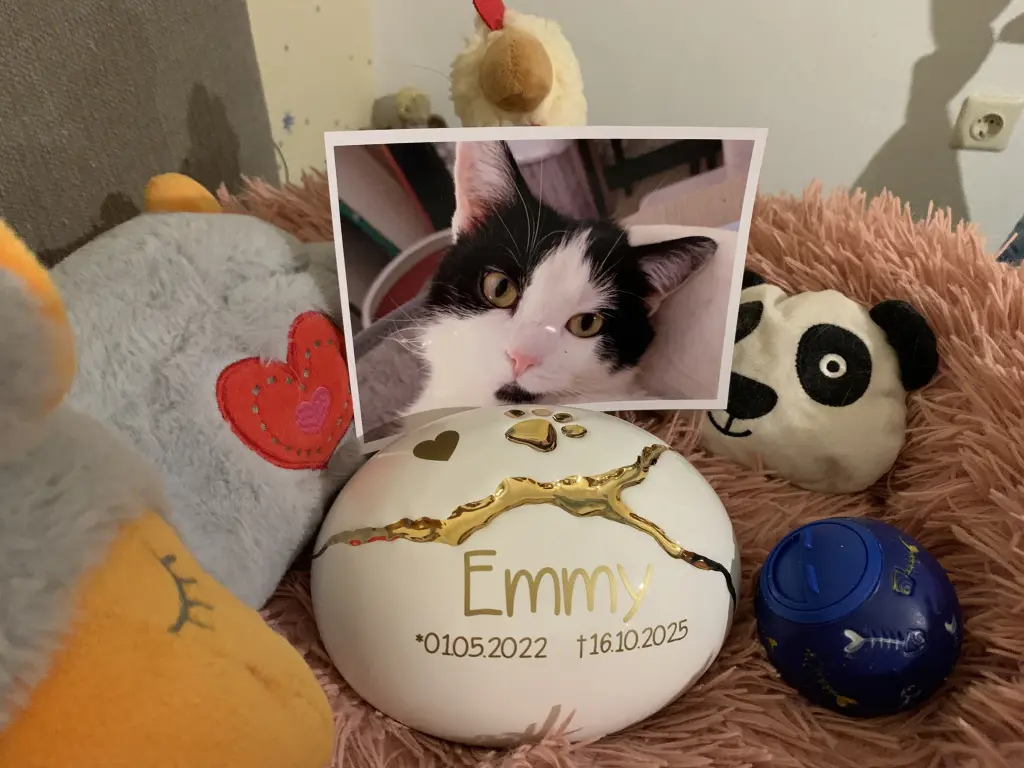 Nun bist du wieder zu Hause.