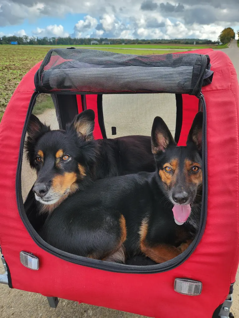 Liebevoll hast du unsere Mila zu uns aufgenommen & nun hält sie die Stellung.