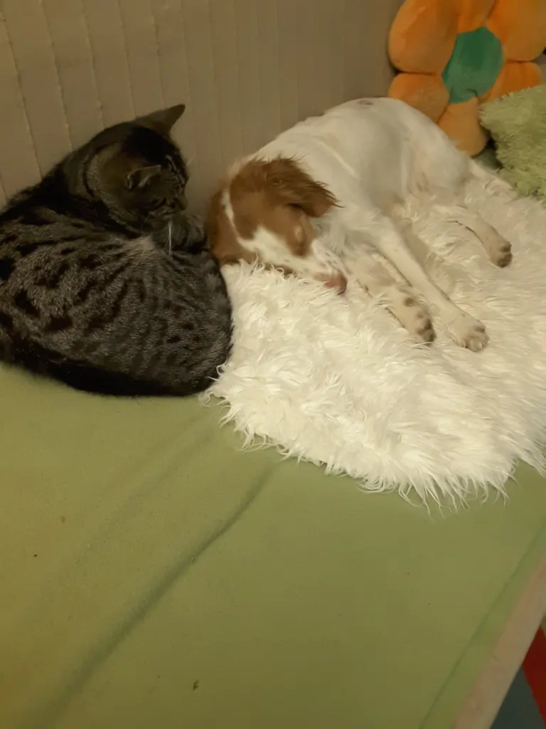 Condolence image of Unbekannt