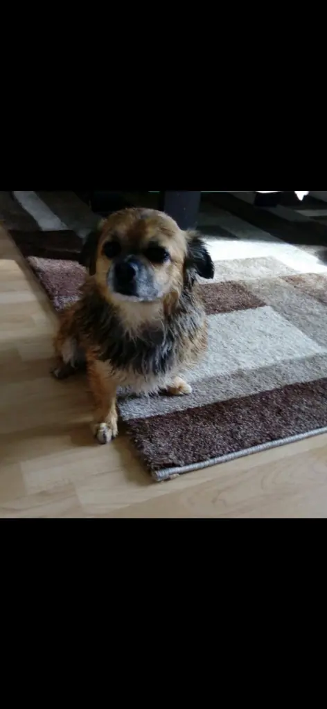 Andachtsbild von Lea Sophie Krizsovensky