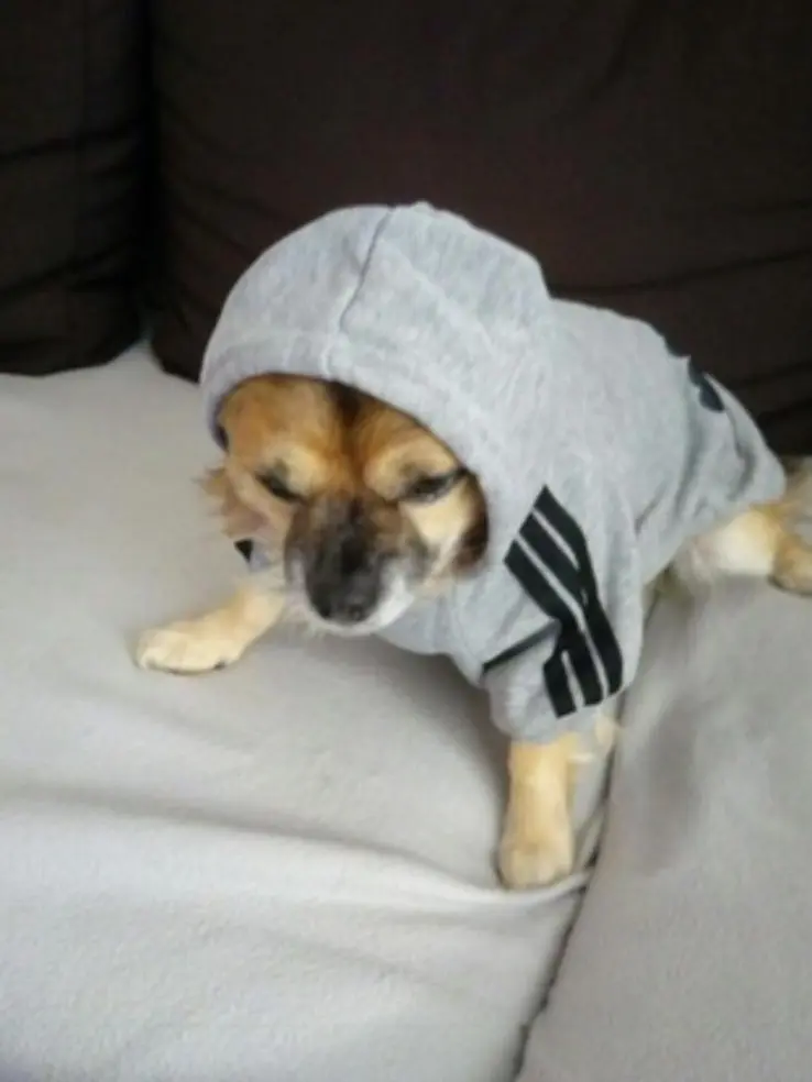 Andachtsbild von Katja