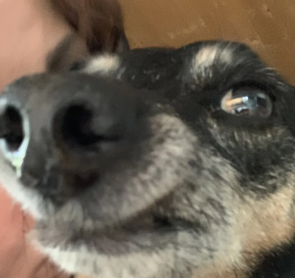 Andachtsbild von Mama♥️