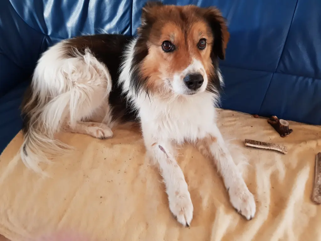 Andachtsbild von Ginette mit Aisha im Herzen