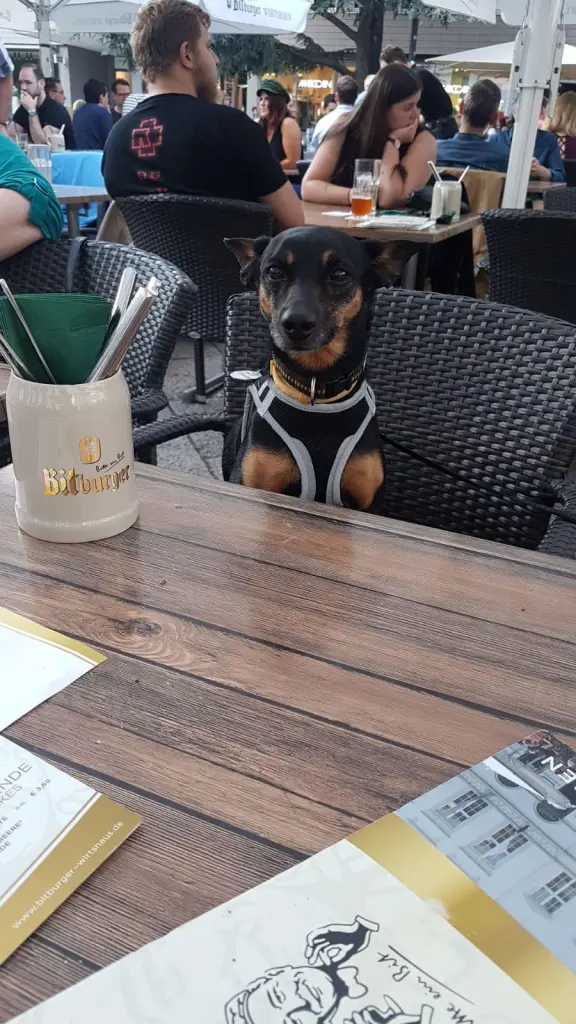 Er war in Trier in jedem Restaurant mitten drin!