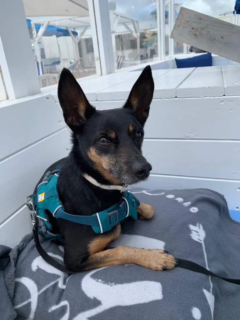 Schönste Urlaub😍