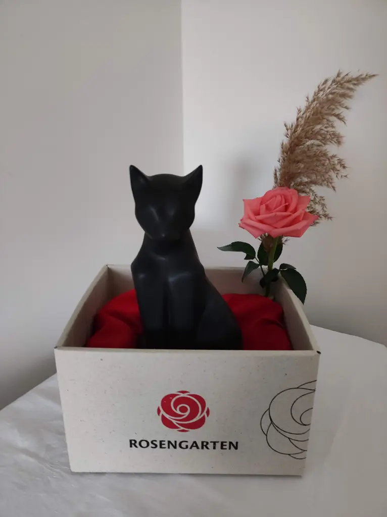 Bild von Fischprinzessin