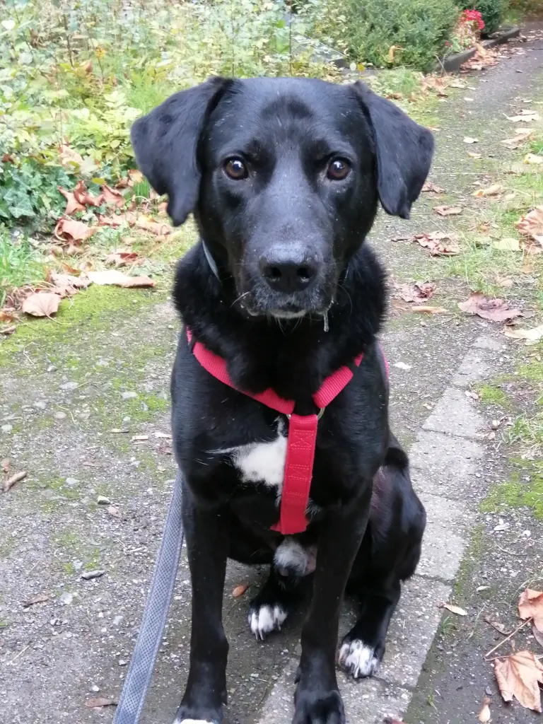 Andachtsbild von Christina & Sven Brüggemann