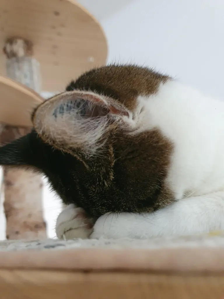 Wenn dir das Leben zu wuselig wurde hast du es einfach ausgeblendet
