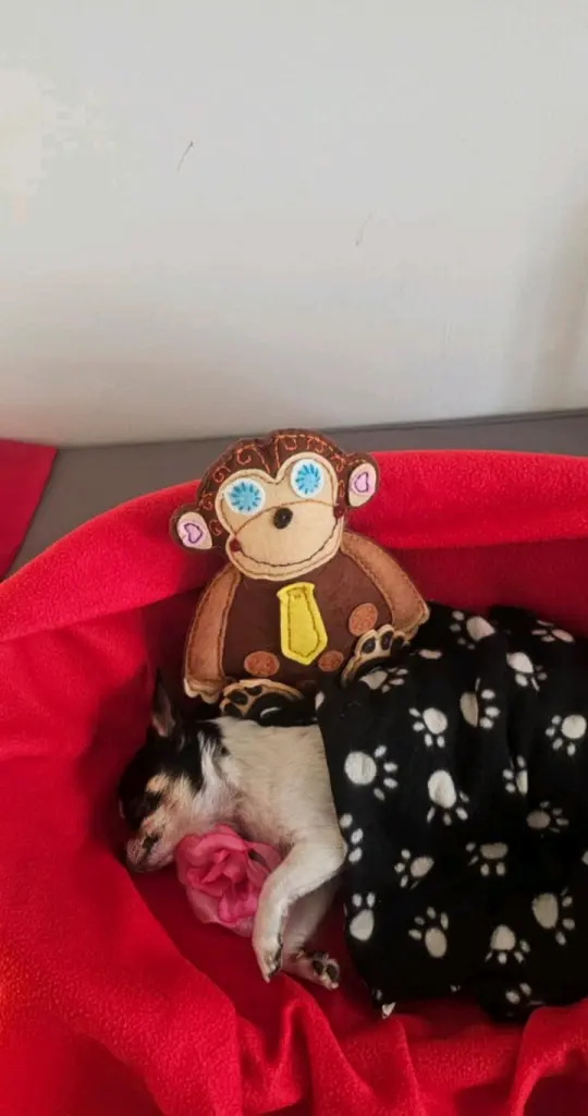 Andachtsbild von Ramona Gleissner