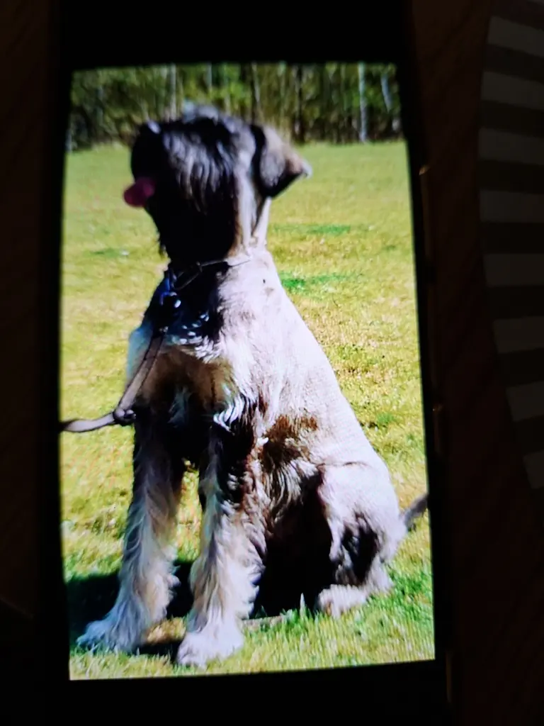 Andachtsbild von Alessa Wolff