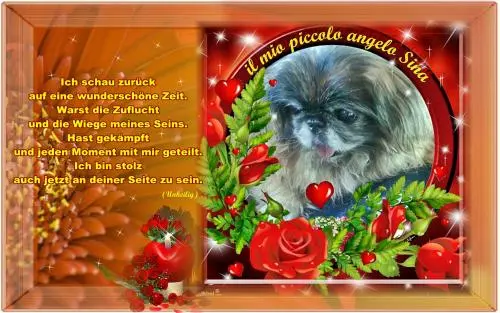 Image from mein unvergessenes Sina-Mäuschen