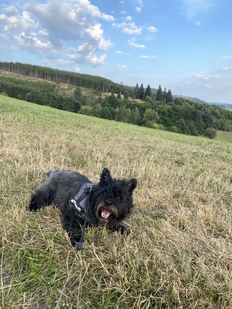 Andachtsbild von Elli Mielke