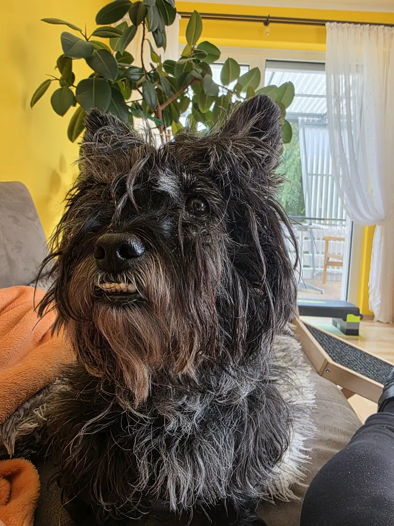 Andachtsbild von Peter Irrgang