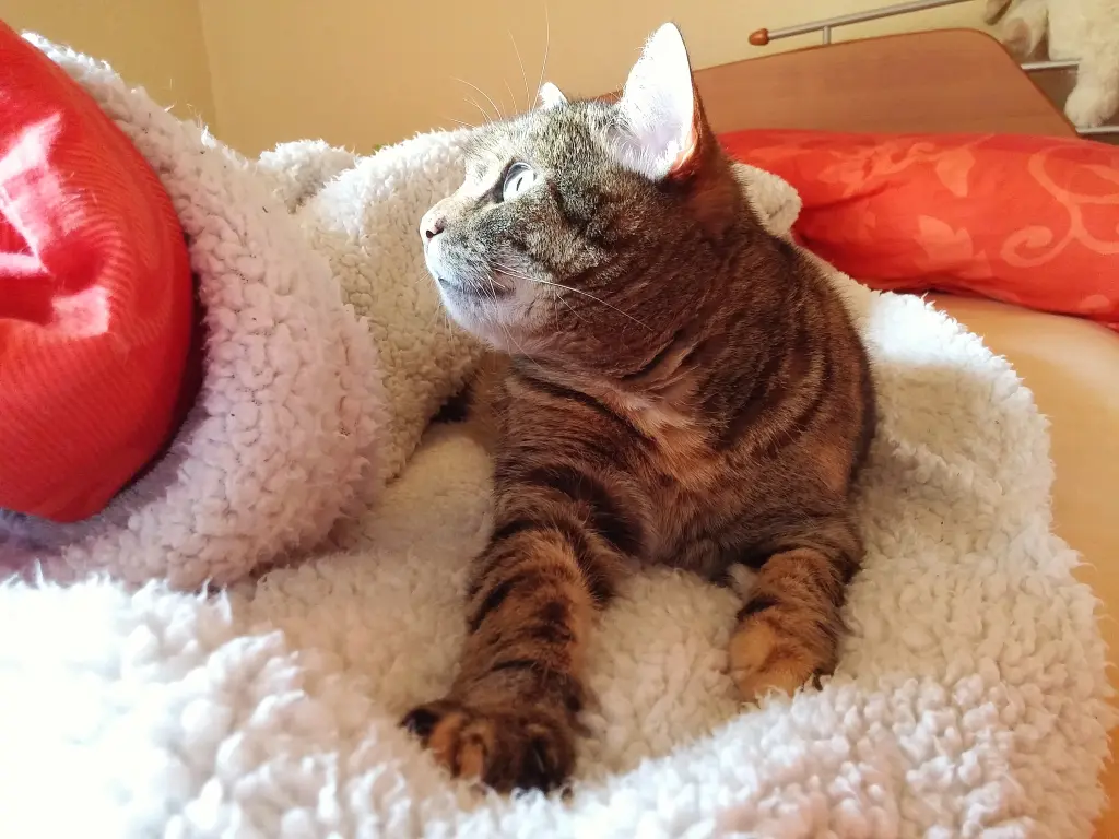 Andachtsbild von Daniela mit Pauline im ♥️ (+27.05.2021)