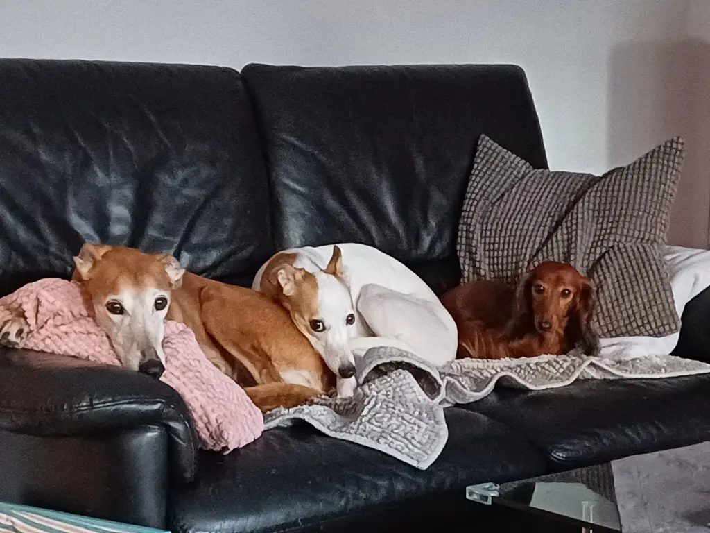 Mit Deinen Mädchen ❤️