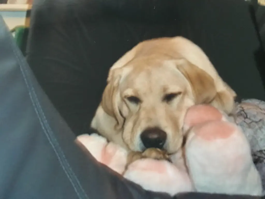 Condolence image of Elzbieta mit Max im Herzen 