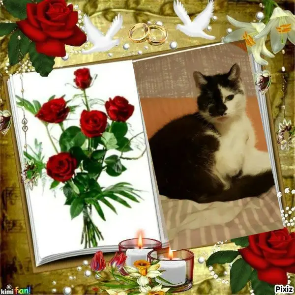 Andachtsbild von Tanja mit Timmy im 💘