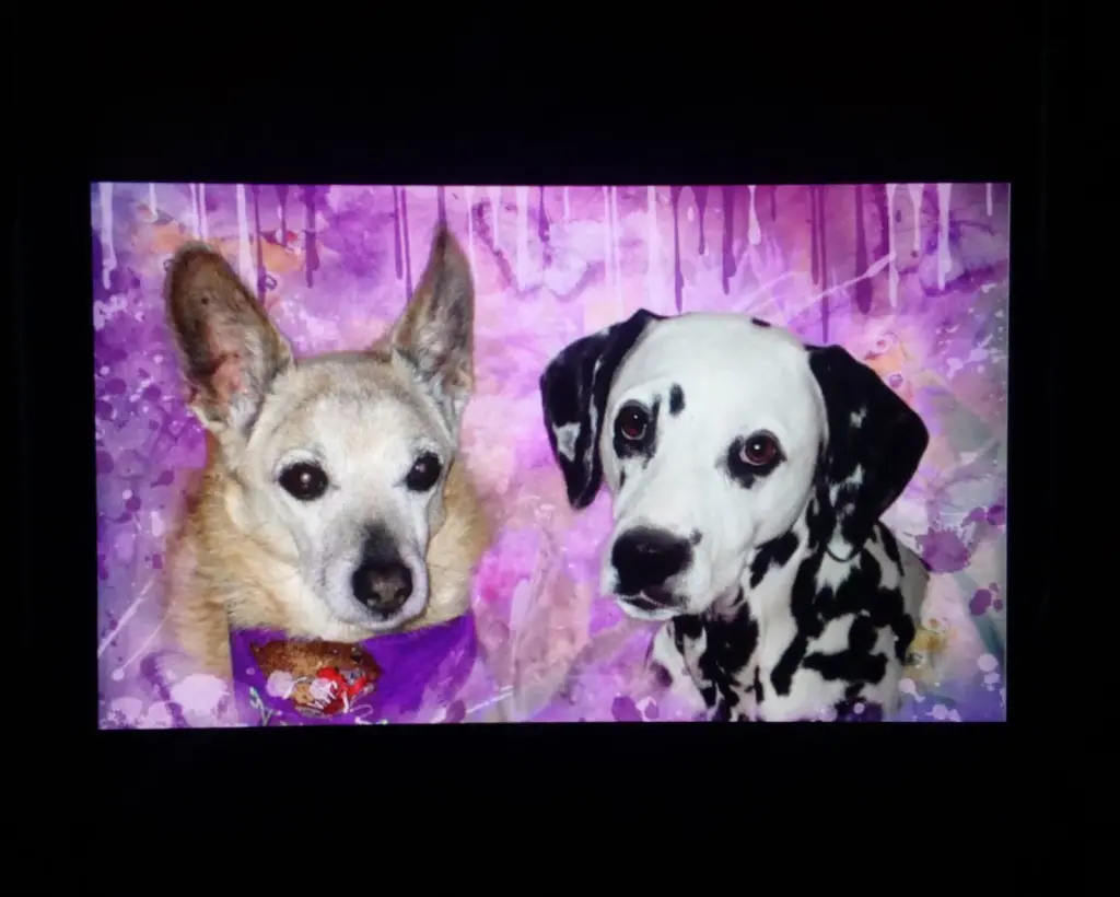 Condolence image of Michaela