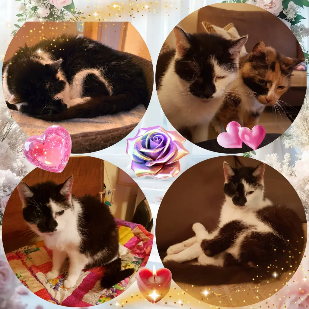 Condolence image of ❤️Eike und Edeltraud ❤️