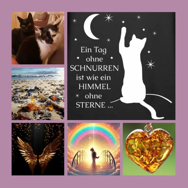 Condolence image of Eine Rose für Antonia