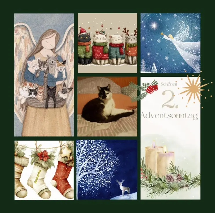 Condolence image of Goldene Rosen für Antonia