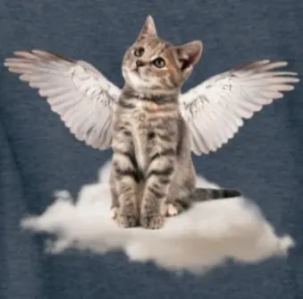 Condolence image of *.¸¸.•*¨💖*.¸¸.•*¨🌈Himmelsgrüße für Antonia ☁️*.¸¸.•*¨💖*.¸¸.•*¨