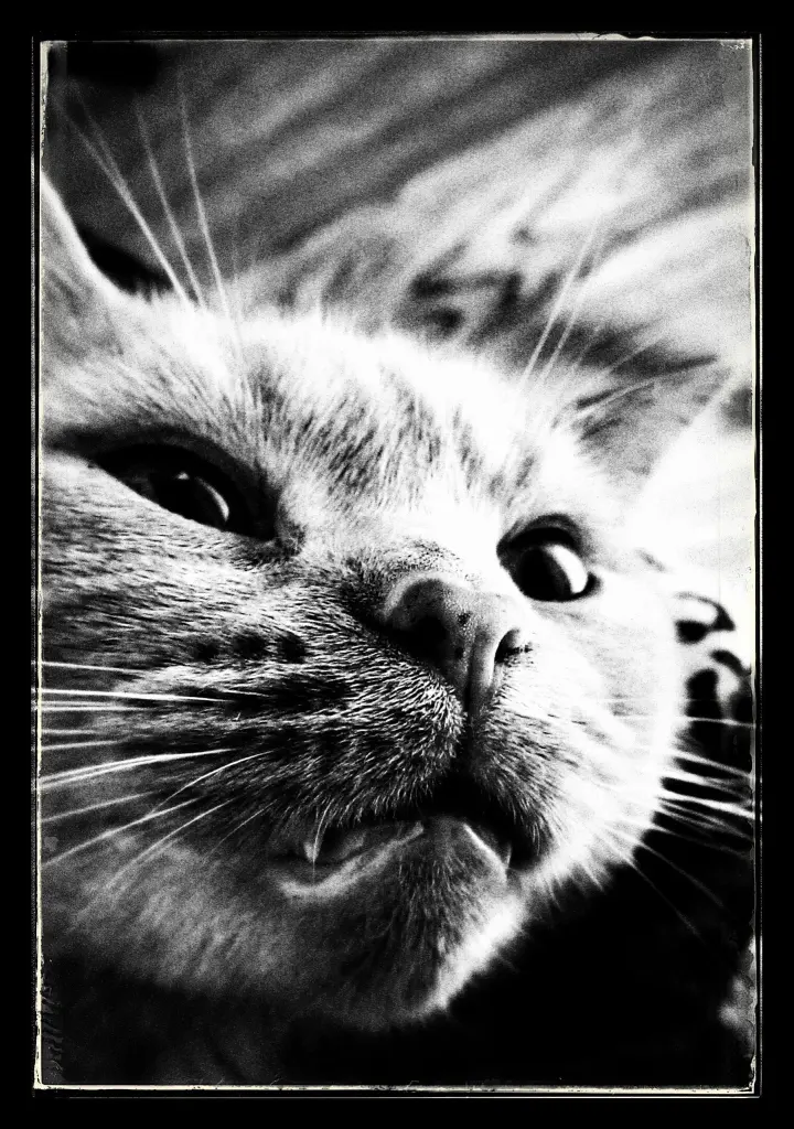 Condolence image of Heidi
