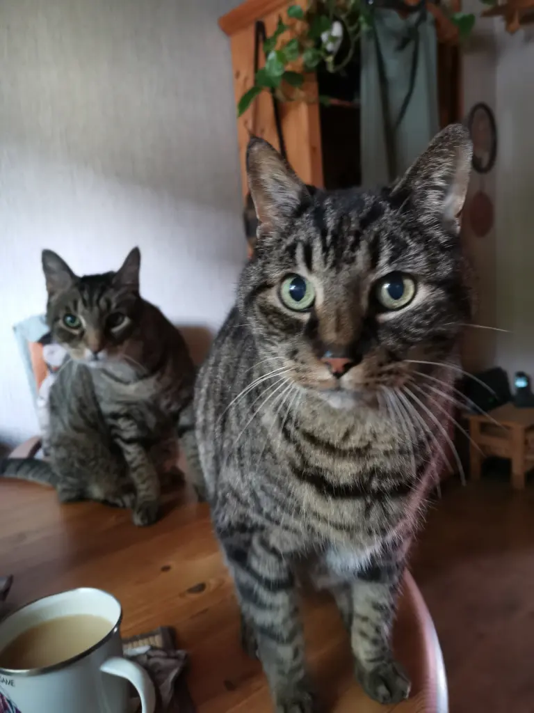 Vorne Sumo...hinten Max 💖😻😻💖