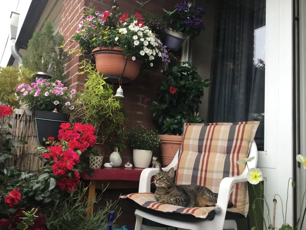 Andachtsbild von Franziska mit Zarpa im Herzen