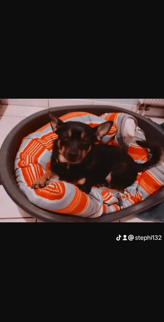 Image from Baby