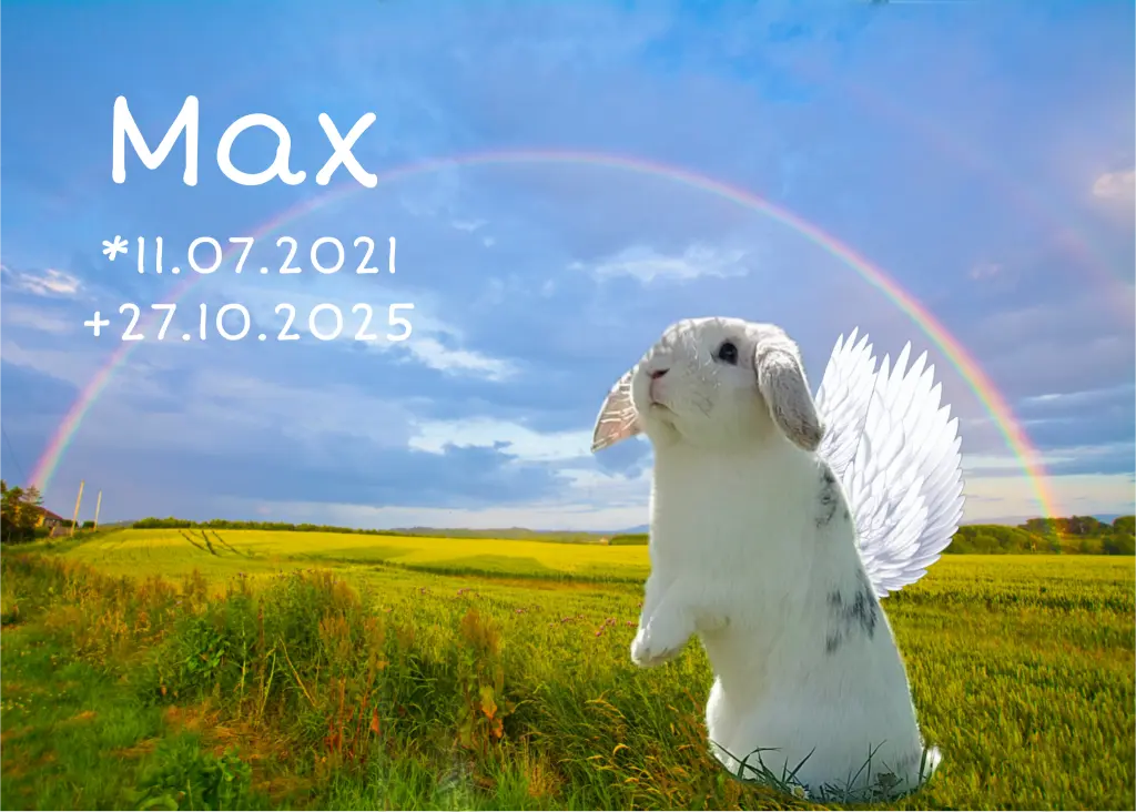 Image from Max