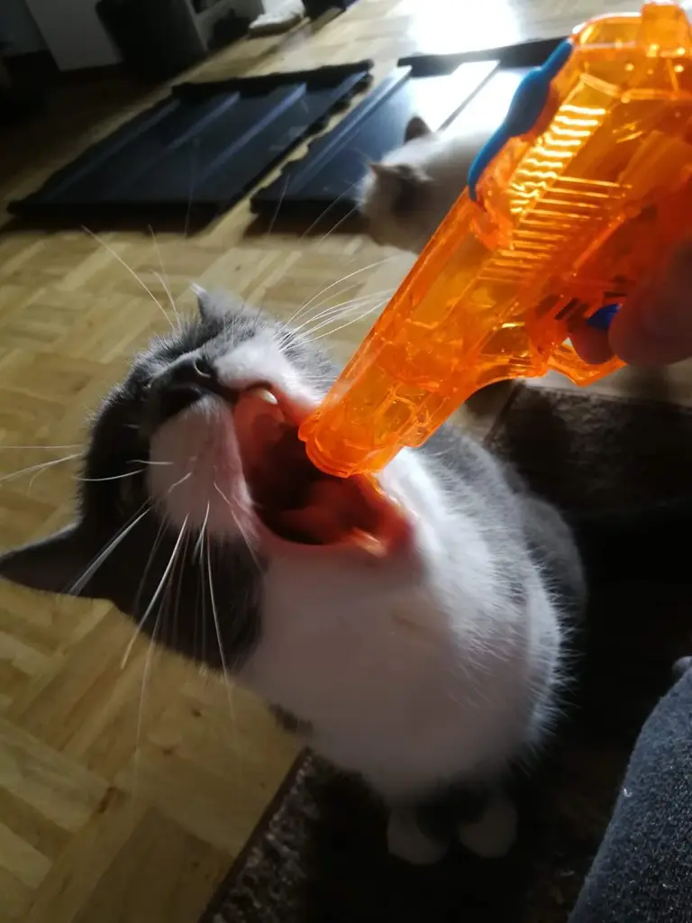 Immer für einen Spaß zu haben