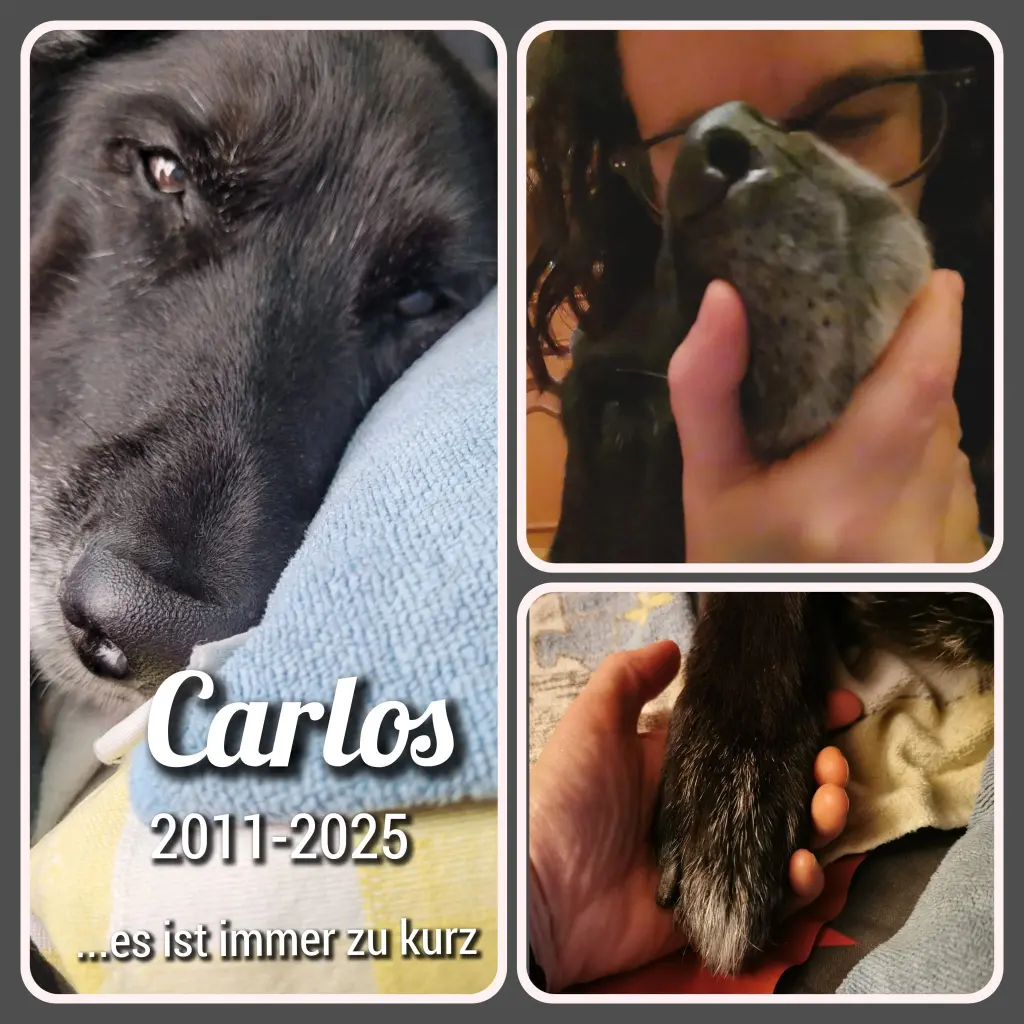 Collage zu Carlos Ableben.