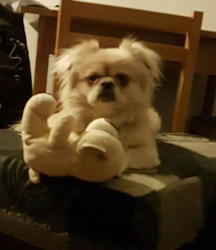 Andachtsbild von Mirjana Totman