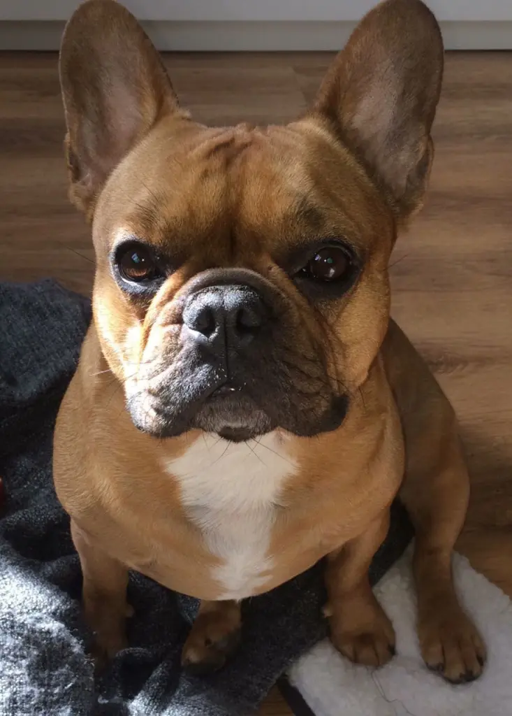 Andachtsbild von Eileen Girscht