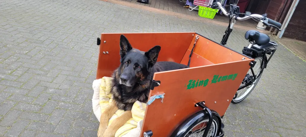 unser liebstes Hobby