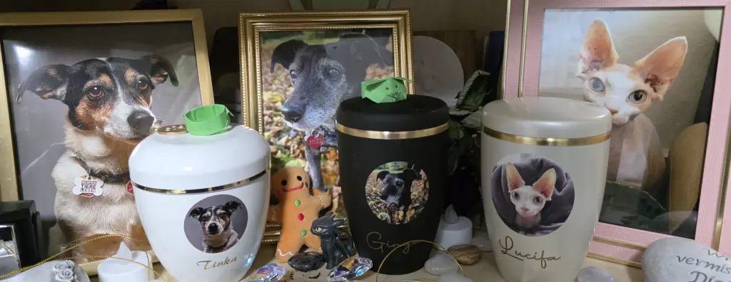 Condolence image of Miepsi