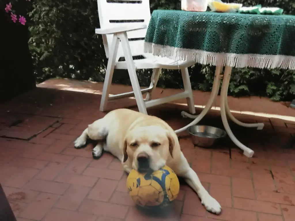 Andachtsbild von Elzbieta mit Max im Herzen